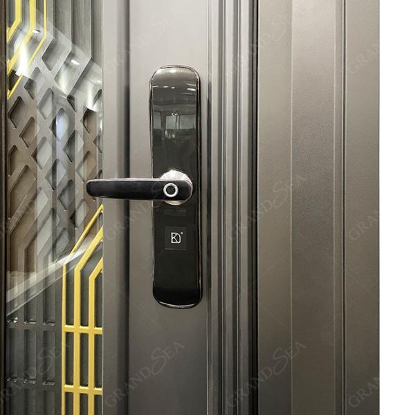 France Style Advanced Stainless Steel Door Good Quality Superior a Class Locksystem Israel Security Door