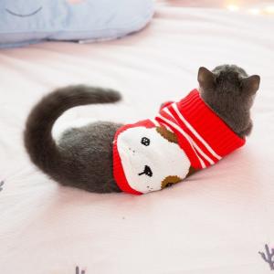 Cheap Customized Pattern Cat Wearing Sweater , Designer Cat Clothes Size XS - XXL wholesale