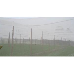 Cheap High Humidity White Anti Insect Netting ISO 9001 100 Meters For Vegetable wholesale