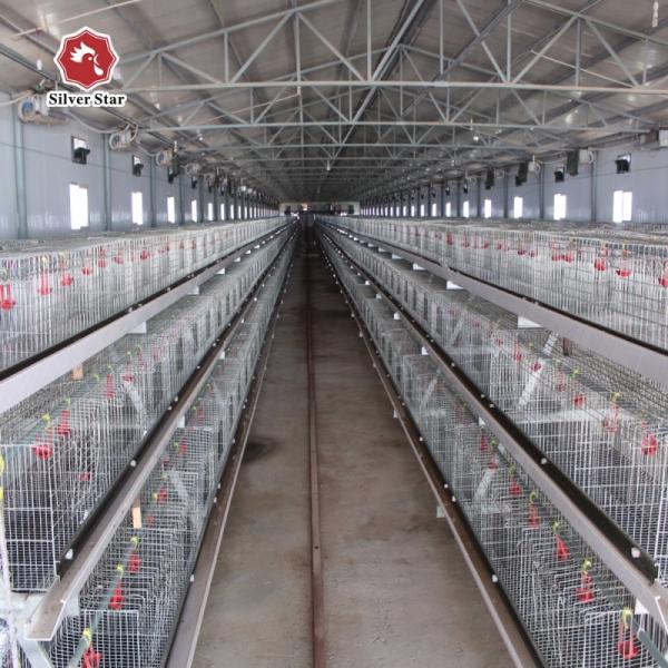 4 Tier Battery Baby Chicken Cages Layer A Type Pullet Hot Galvanized