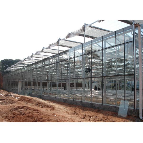 Transparent, Easy-Assemble Galvanized VENLO Greenhouses For Efficient High-Value Agriculture