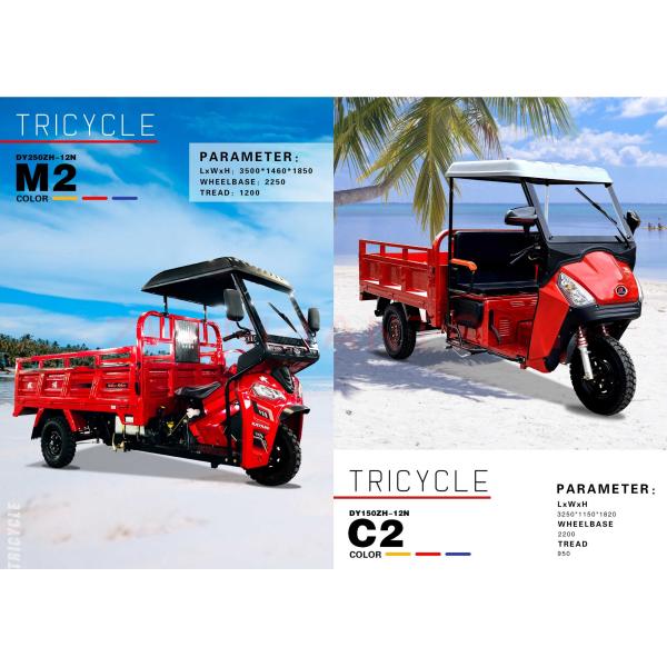 250cc Motorized Special Cabin Roof Delivery Water Tank 1000L Tricycles with Engine