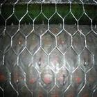 Cheap Stainless Steel Hexagonal Wire Netting/Poultry Netting wholesale