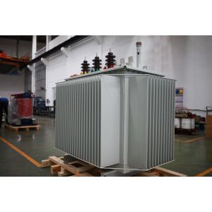 Cheap 160kVA 20kV Oil-immersed Distribution Transformer S(B)13-NX3 Energy Efficiency Level 3 wholesale