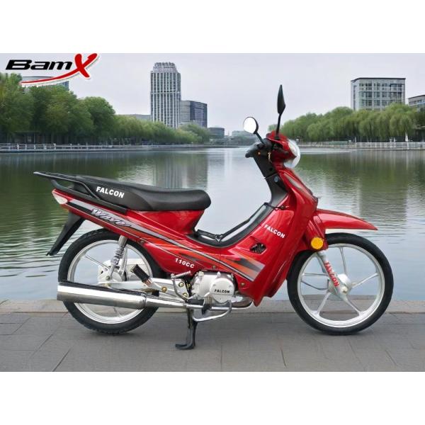 CDI Air Cooled Street Legal Kids Motorcycle Dirt Bike 110cc Enduro Motorcycle