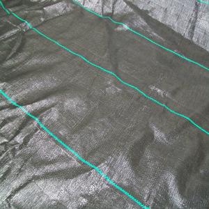 Cheap # 2022 Weed Block Fabric,Weed Mat,Anti Weed FabricGround Cover Fabric,Weed Control Fabric,PE Anti Weed Fabric wholesale