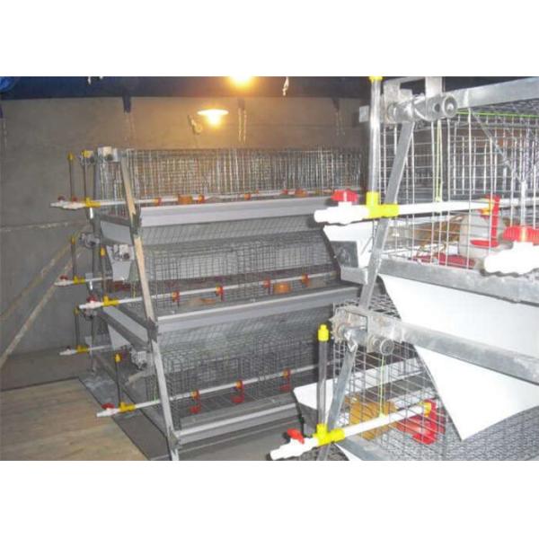 Laminated Egg Laying Chicken House