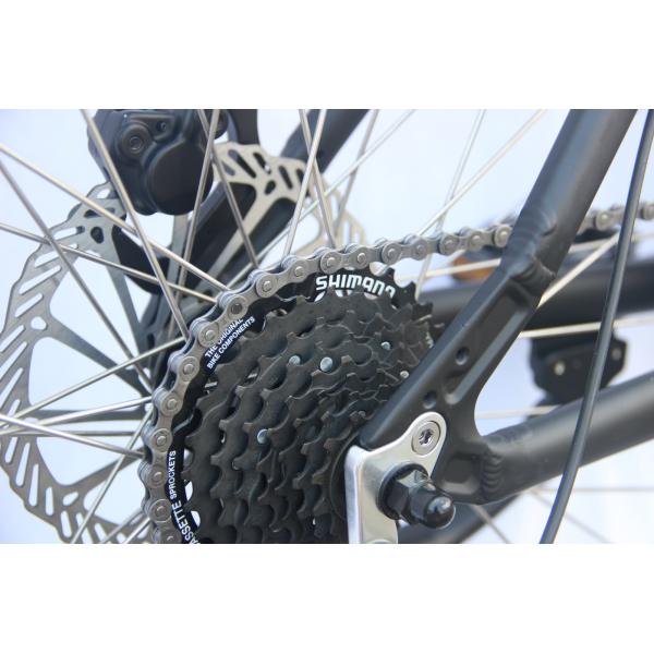 200w 2 Wheel Drive Electric Bike Adult 29 Inch 40 Mph E Fat Tire Portable Motorized Bike