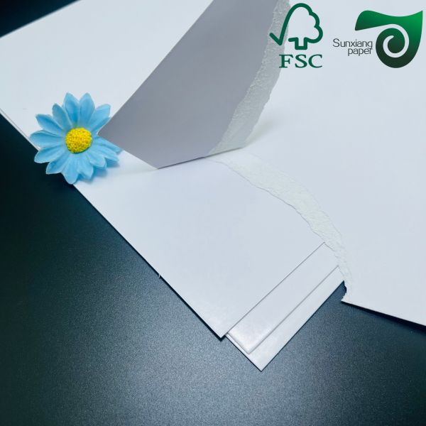 FSC High Rigidity C2S Glossy Paper 8pt 10pt 660mm 990mm For High Class Artwork