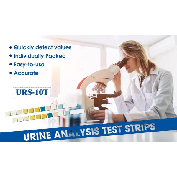 10In1 Over The Counter Urinalysis Test Strips For Leukocyte Glucose 10 Biomarkers