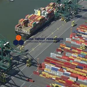 Cheap Custom Warehousing Sea Freight Forwarder International Shipping China To South America wholesale