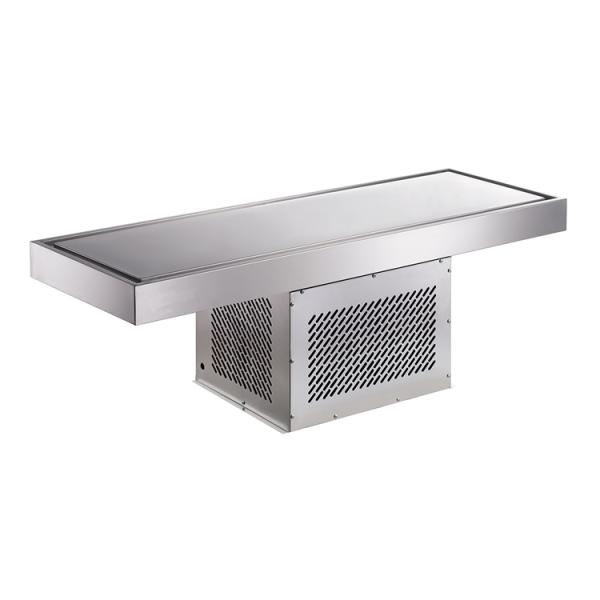 Stainless Steel Exterior Hotel Buffet Built-In Cold Plate Freezer Fresh Food Display Table Commercial Refrigeration Equipment
