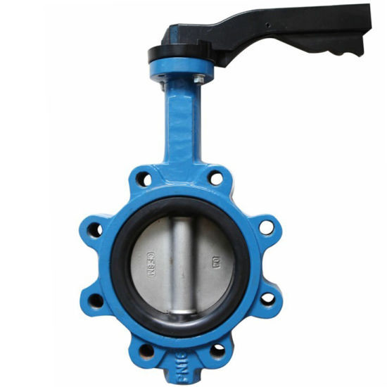 Lugged type butterfly valves manufacturer