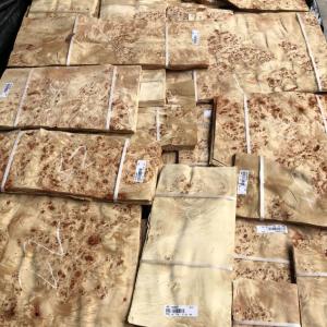 Waterproof Natural Mappa Burl Veneer , Plywood Burl Wood Panels Facings