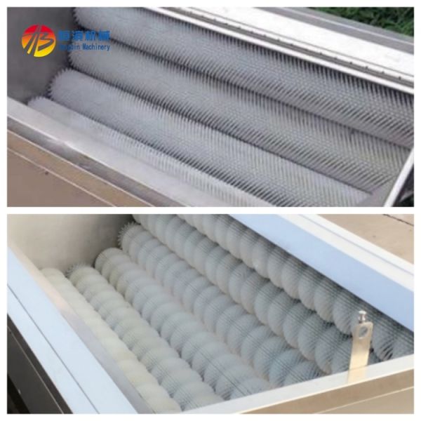 Potato and Ginger Peeling Brush Machine 1450*880*760mm Used for Vegetable Seafood