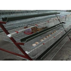China Space Saving Broiler Poultry Farming Equipment Chicken Egg Farm Equipment on sale
