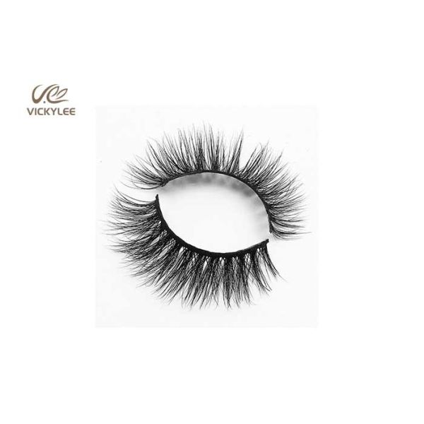Whole Strip Fan Shaped OEM Natural False Eyelashes