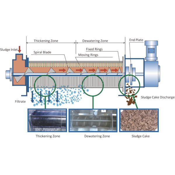 Leather/Municipal Water and Industrial Waste Treatment Screw Press Dewatering Machine