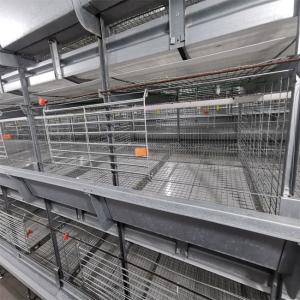 Cheap Baby Chicks Broiler Chicken Cage For Chicken Farm wholesale