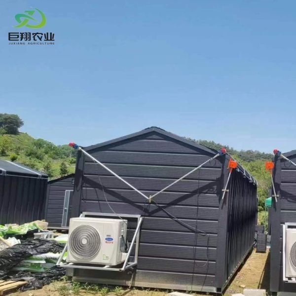 Agricultural Single-Span Tunnel Type Film Blackout Mushroom Greenhouse with Light Deprivation System for Medical Plants and Mushroom