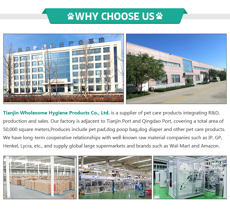 Pet Garbage Bag Clean Function Compostable Dog Waste Bags for Biodegradable Doggy Bags