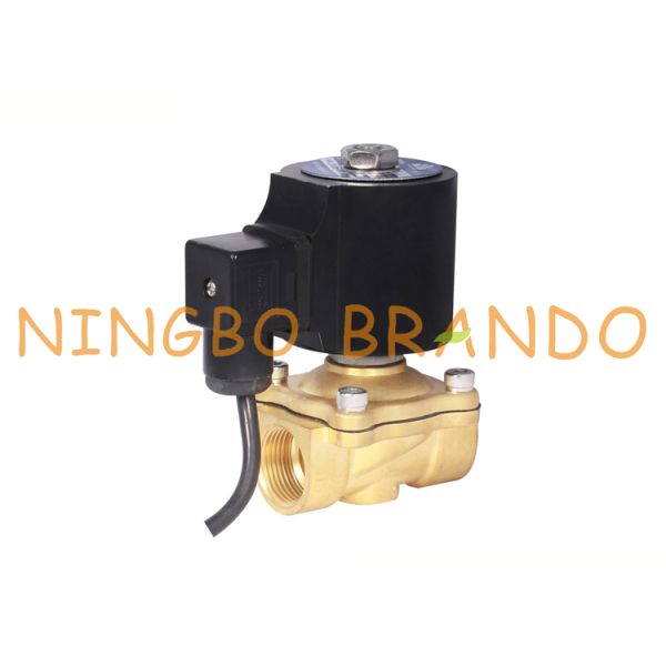 1/2 Inch Underwater Brass Solenoid Valve IP68 For Musical Water Fountain 24VDC 220VAC