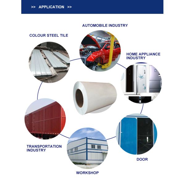 Grade SPCC SGCC RAL Color PPGI Coils PPGL Coils for Metal Zinc Steel Coil