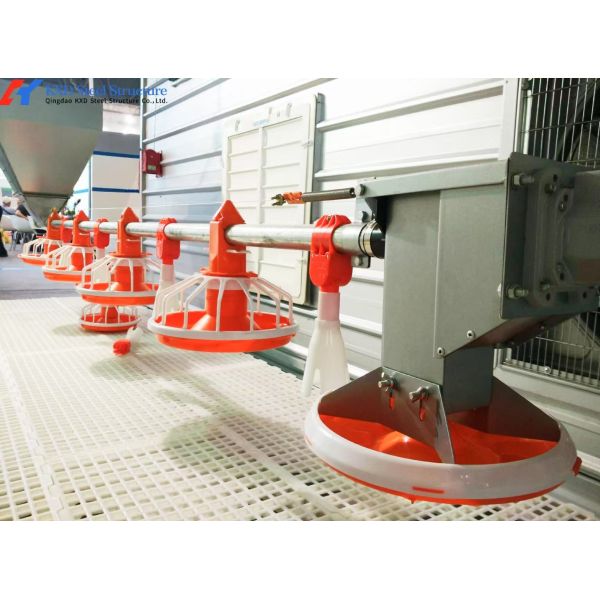 Plastic Chicken Feeding Equipment Automatic Broiler Poultry Farm Equipment
