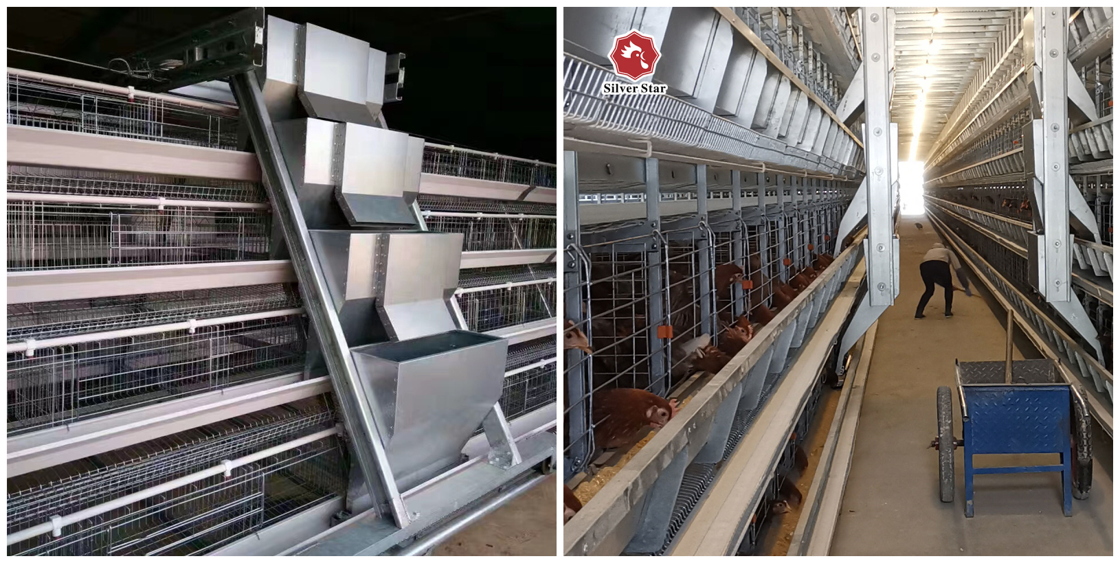 380V Broiler Automatic Feeder , 500KGS Hot Dip Galvanized Chicken Cage Equipment