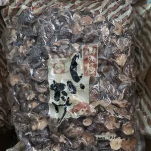 Cheap Natural Bulk Dry Shiitake Mushroom Dried Shiitake Mushrooms Organic wholesale