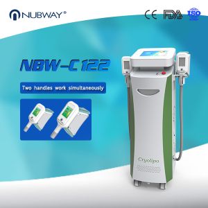 China Beauty Salon Equipment  Fat Freezing Cryolipolysis Body Slimming Machine on sale