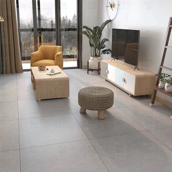New Style Living Room Tile For Floor 60x60 , Non Slip Matte Porcelain Rustic Floor Tiles