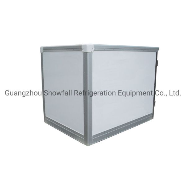 Small Freezer Body for Van/Truck/Motorbike Refrigerator Box