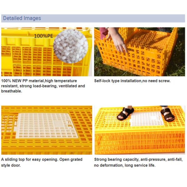 10 Chicken Plastic 12.25 Inches Detachable Poultry Transport Cage