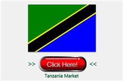 6061/6063 Anodized Golden Aluminum Extrusion Profiles for Angola