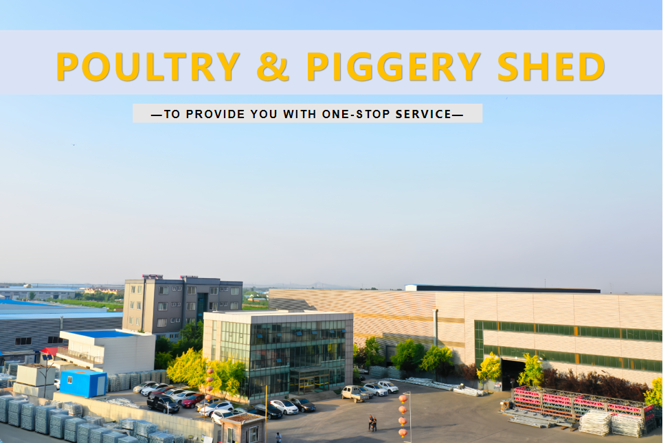 3 Phase Single Phase Ventilation Exhaust Fan 380V 1 Year Warranty