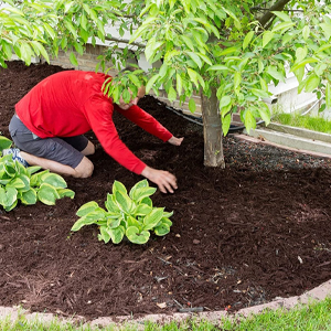 landscape fabric, weed barrier, ecogardener, ecogardener landscape fabric