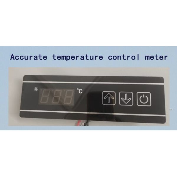 600L 2 Door Commercial Freezer 310W 240V Commercial Kitchen Refrigerator Freezer