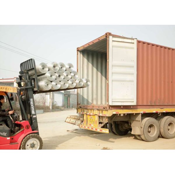 Thin Welded Wire Cloth Roll Type , Galvanized Stainless Steel Weld Mesh