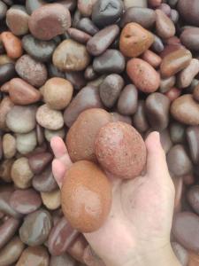 China 2-3cm Natural Pebble Stone For Garden High Chemical Resistance on sale