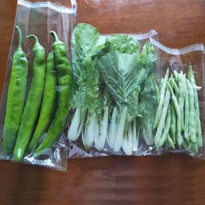 Cheap Custom OPP Packaging Bag Printed Clear Plastic Cellophane Bags For Vegetable wholesale