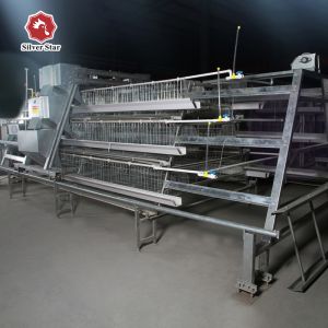Q235A Galvanized Steel Layer Chicken Cage