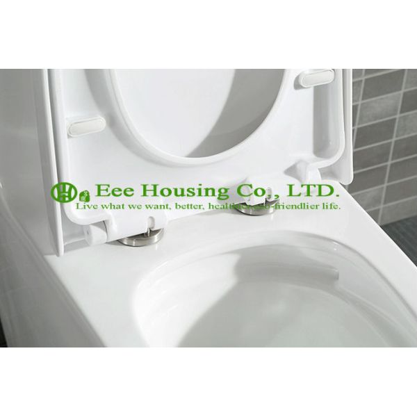 Sanitary ware One Piece Toilet Dual Flush Ceramic Wc Toilet with Siphon Flushing