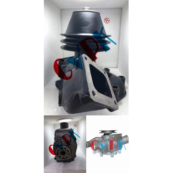 123900-32001 Diesel Engine Oil Pump Assy 123900-32001 For YANMAR Engine Of 4TNV106T