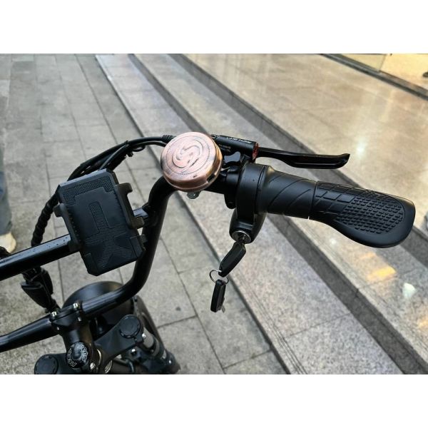 Richbit H200 Fat Electric Scooter Cycle 1000w 48v 16ah 20x3.0 Inch