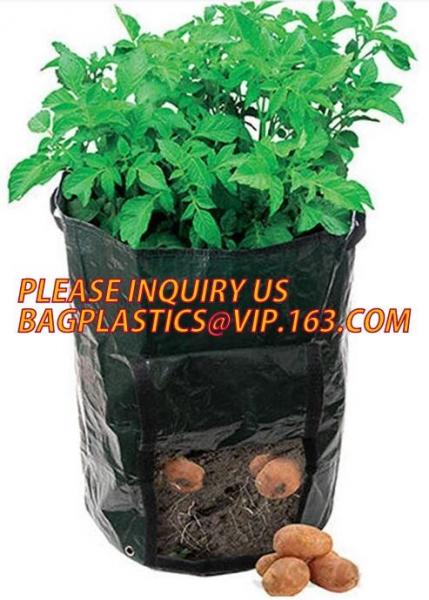 5gallon Plastic nursery bag for growing and seedling,polyethylene black grow bags plastic plant pot seeding nursery bags