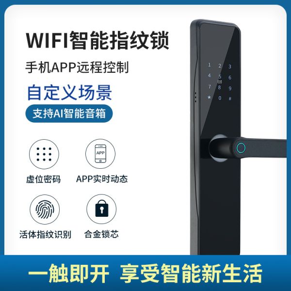 OEM ODM Push Pull Door Lock Digital Wifi Keyless Entry Door Lock