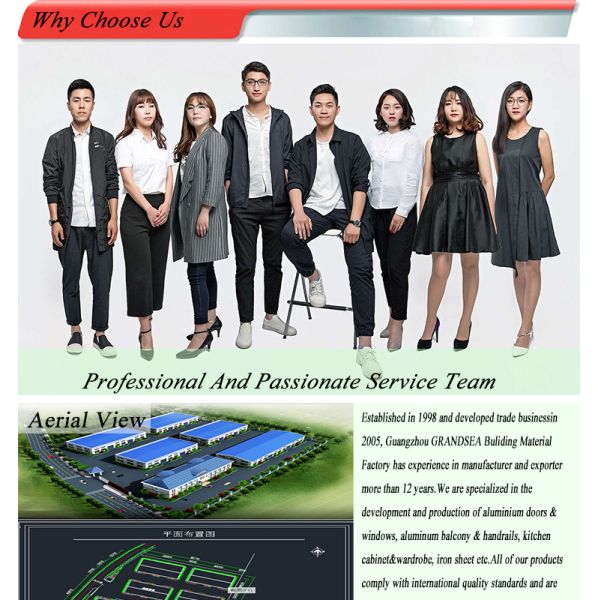 Latest Modern Cast Iron Factory Price Front Door with Glass, Entry Double Wrought Iron Door Design for Villa