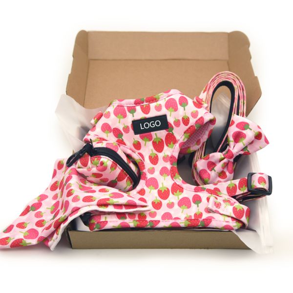 Outdoor Running Personalized Nylon Multifunctional Pet Dog Leash with One Drag Two Double-Headed Dog Rope Durable and Versatile