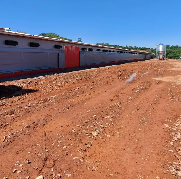 Modern Design Steel Structure Broiler House Chicken Warehouse For Farmhouse